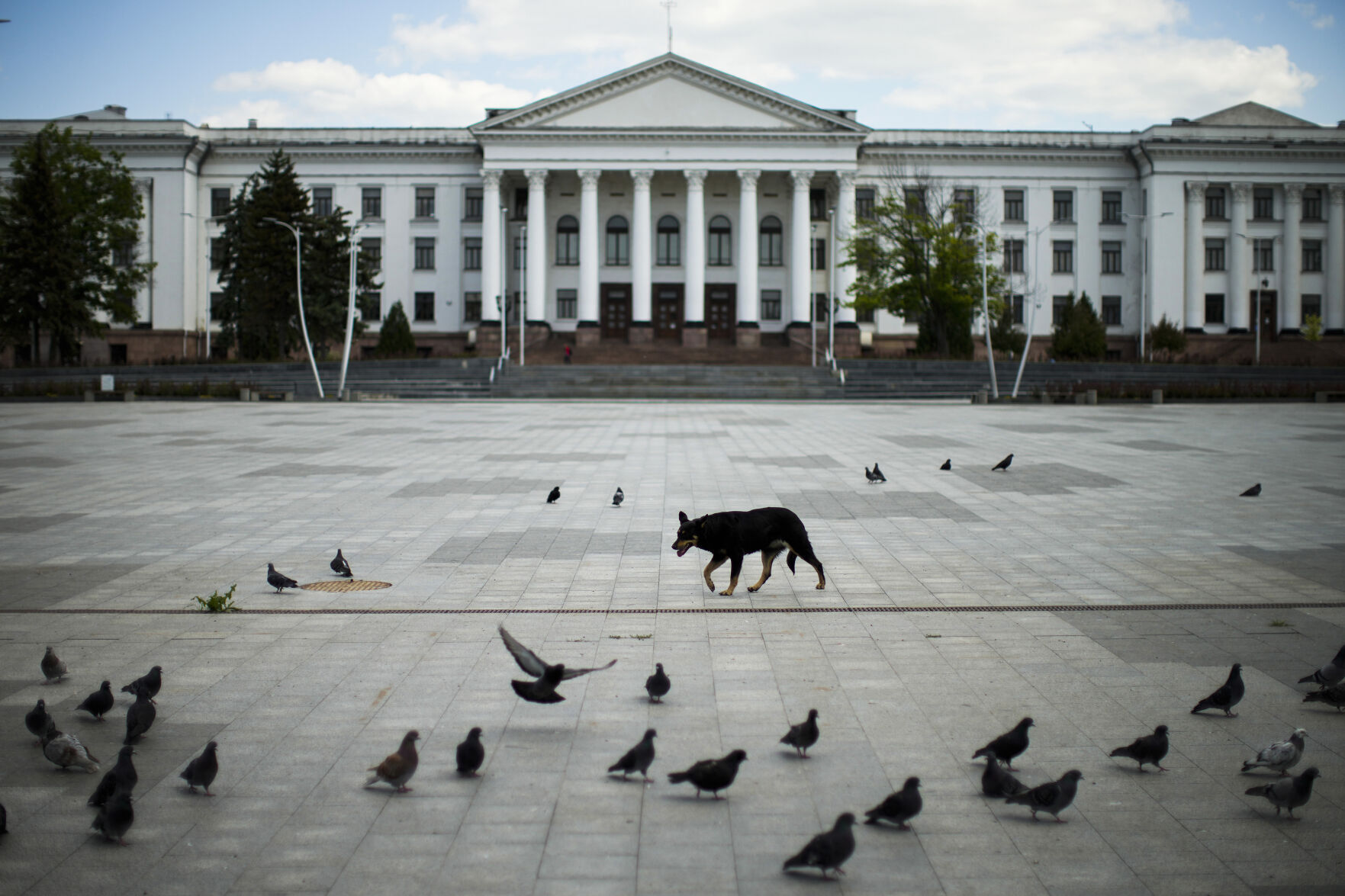 Russia Ukraine War A Week Photo Gallery